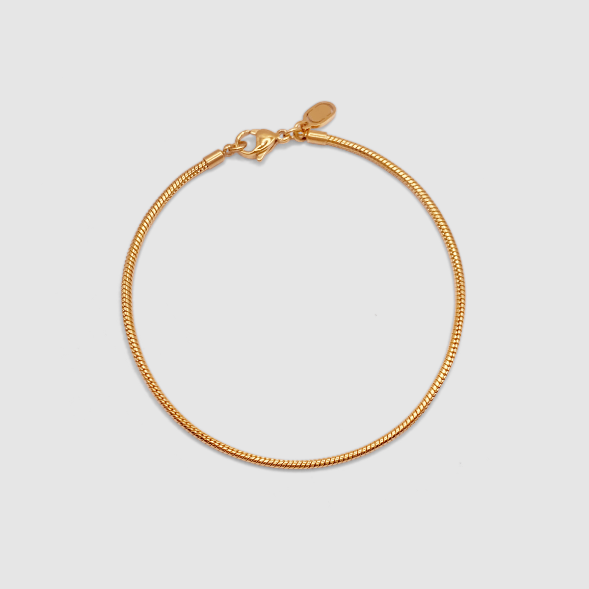 Snake Bracelet (Gold) 2mm